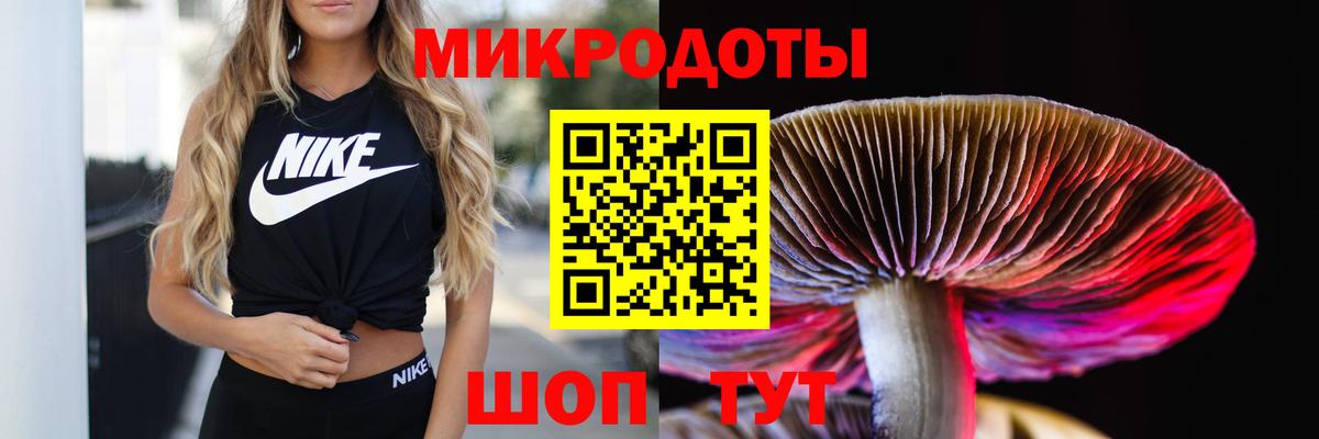 Псилоцибиновые грибы ЛСД  Галлюциногенные грибы Cubensis  Вход с VPN  Сланцы 